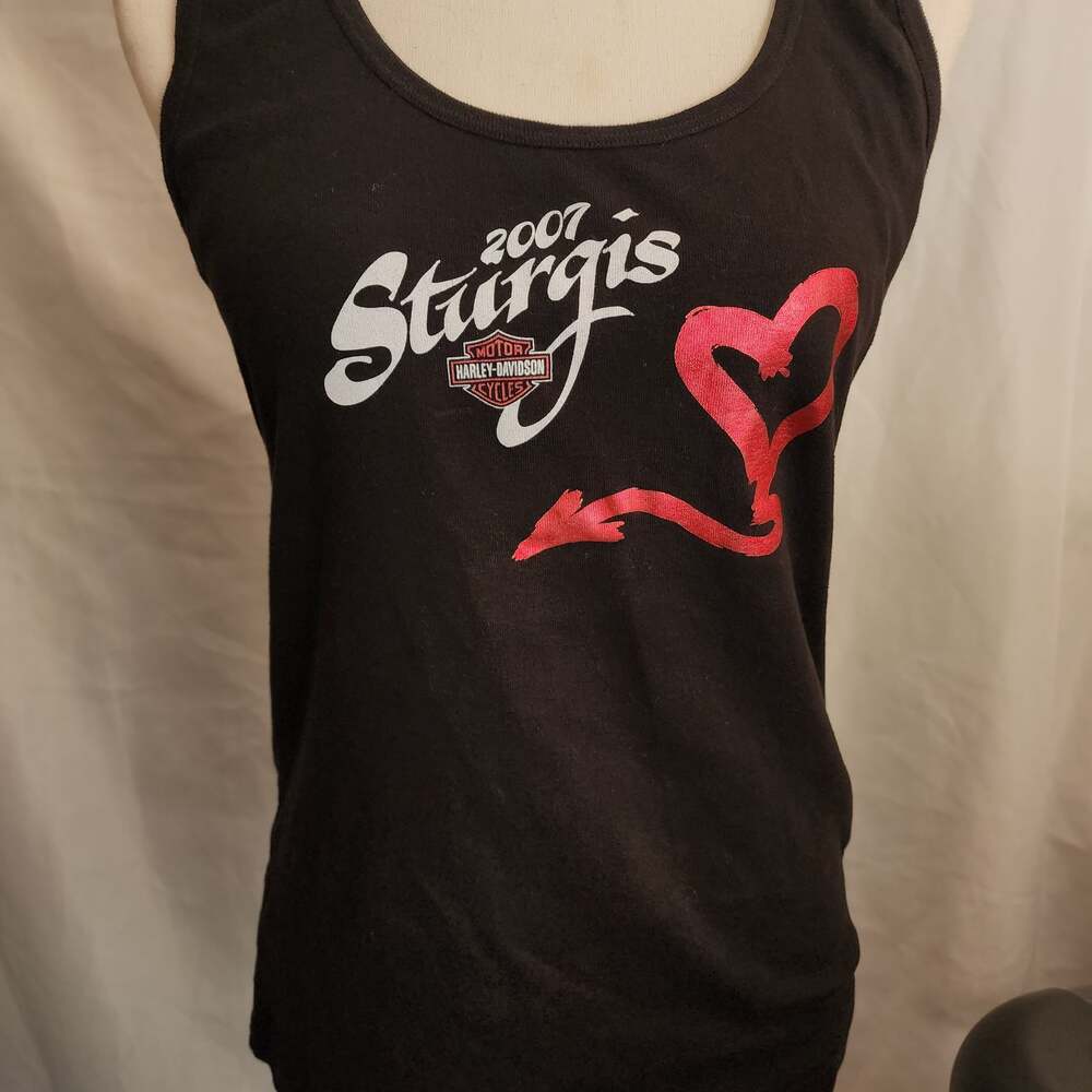 07 sturgis